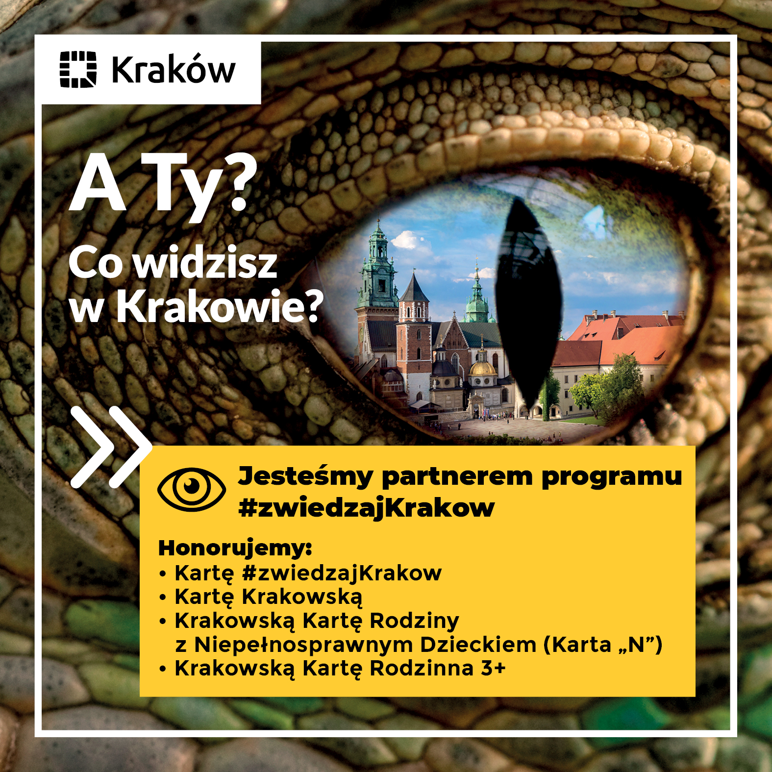 program #zwiedzajKrakow